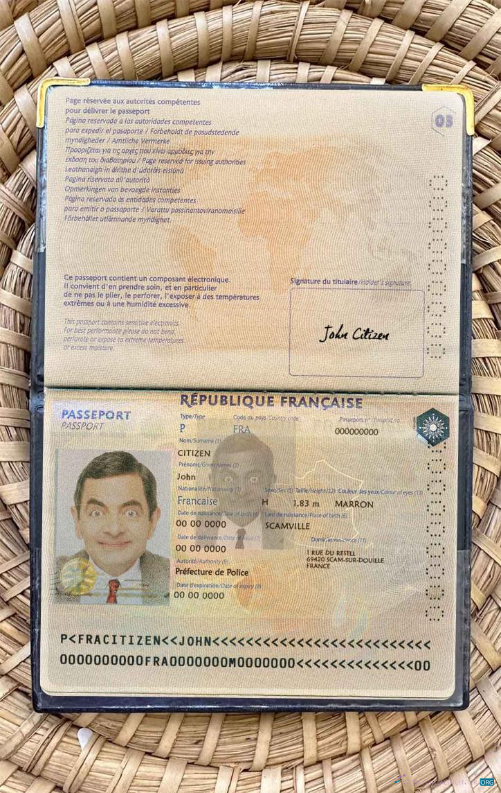 Download France passport version 2 photo look Photoshop template